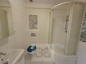 Pronájem bytu 1+kk, Praha - Holešovice, U smaltovny, 28 m2