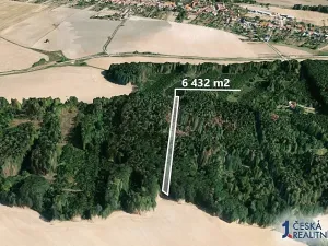 Prodej podílu lesa, Lukovany, 5770 m2