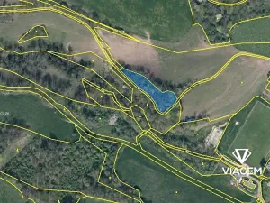 Prodej podílu lesa, Heřmanov, 777 m2