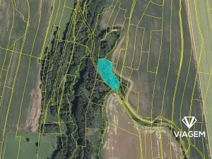 Prodej podílu lesa, Proseč, 1403 m2