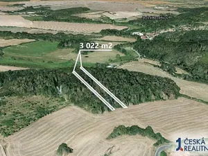 Prodej lesa, Bratronice, 3022 m2