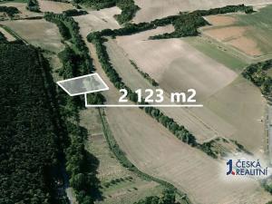 Prodej pole, Sazená, 2123 m2