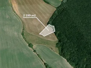 Prodej pole, Češov, 2599 m2
