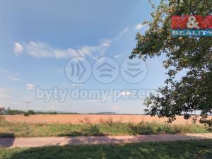 Prodej pozemku pro bydlení, Droužkovice, 9198 m2