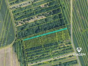 Prodej lesa, Drslavice, 611 m2