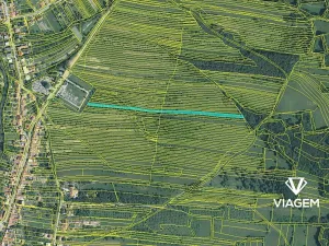 Prodej podílu pole, Velká nad Veličkou, 1014 m2