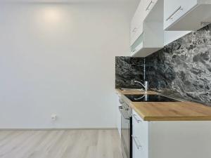 Pronájem bytu 1+kk, Brno, Bystrcká, 27 m2