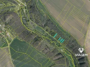 Prodej podílu lesa, Kováň, 335 m2