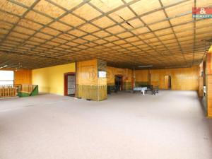 Pronájem obchodního prostoru, Hradec Králové - Pražské Předměstí, V Lipkách, 450 m2