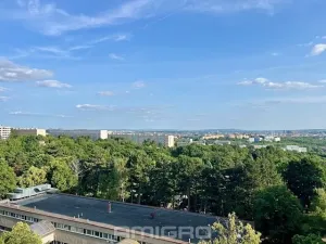 Pronájem bytu 1+1, Brno, Loosova, 36 m2