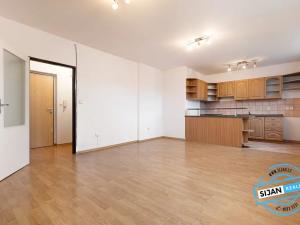 Pronájem bytu 1+kk, Hradec nad Moravicí, Lidická, 37 m2