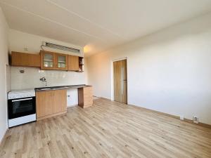 Pronájem bytu 1+1, Chomutov, Zadní Vinohrady, 36 m2