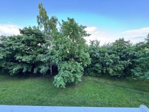 Pronájem bytu 1+1, Chomutov, Zadní Vinohrady, 36 m2