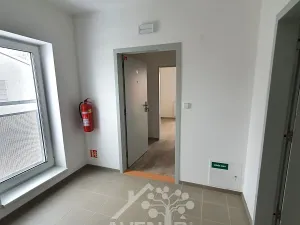 Pronájem bytu 2+kk, Jablonec nad Nisou, Saskova, 42 m2