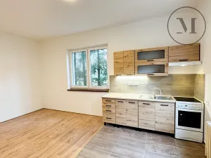 Pronájem bytu 2+kk, Netolice, Hornická, 50 m2