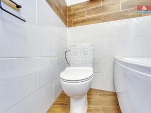 Prodej bytu 2+1, Karlovy Vary - Drahovice, Prašná, 53 m2