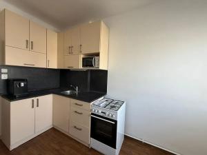 Pronájem bytu 1+1, Brno, Mlýnská, 38 m2