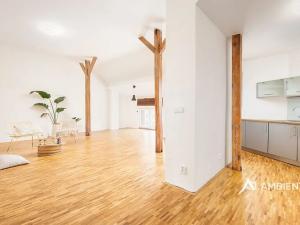 Pronájem bytu 4+kk, Brno, Čápkova, 147 m2