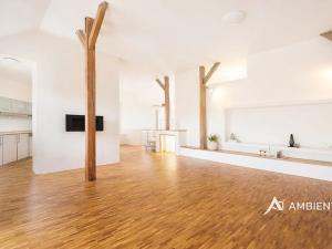 Pronájem bytu 4+kk, Brno, Čápkova, 147 m2