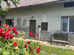 Prodej rodinného domu, Zdětín, 150 m2