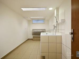 Pronájem obchodního prostoru, Ústí nad Labem, Spartakiádní, 11 m2