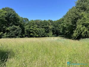 Prodej rodinného domu, Horní Bludovice, 200 m2