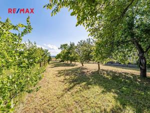 Prodej pozemku pro bydlení, Pleše, 924 m2