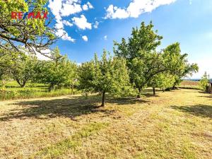 Prodej pozemku pro bydlení, Pleše, 924 m2