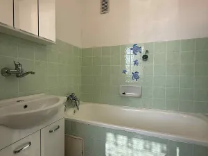 Pronájem bytu 3+1, Jihlava, S. K. Neumanna, 74 m2