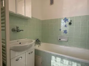 Pronájem bytu 3+1, Jihlava, S. K. Neumanna, 74 m2