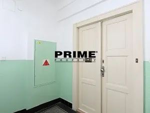 Pronájem bytu 1+1, Praha - Vinohrady, Lužická, 60 m2