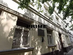 Pronájem bytu 1+1, Praha - Vinohrady, Lužická, 60 m2
