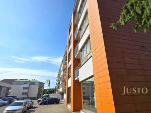 Prodej bytu 1+kk, Písek, V Portyči, 51 m2
