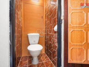 Prodej bytu 1+kk, Praha - Braník, Vavřenova, 24 m2