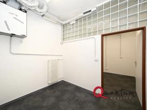 Pronájem ordinace, Praha - Modřany, Obchodní náměstí, 21 m2