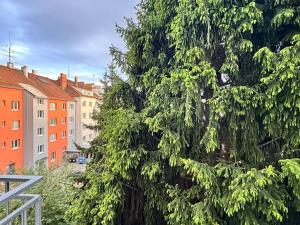 Pronájem bytu 1+kk, Brno, Venhudova, 25 m2