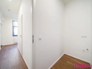 Pronájem bytu 1+kk, Brno, Spolková, 49 m2