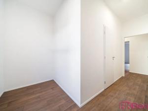 Pronájem bytu 1+kk, Brno, Spolková, 49 m2