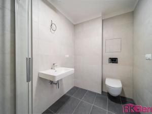 Pronájem bytu 1+kk, Brno, Spolková, 49 m2