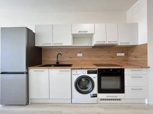 Pronájem bytu 1+kk, Brno, Dornych, 35 m2