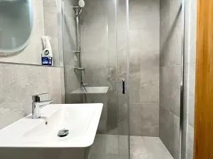 Pronájem bytu 1+kk, Brno, Dornych, 35 m2