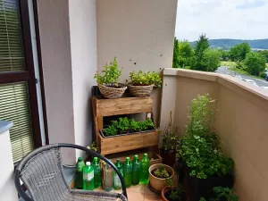 Prodej bytu 2+1, Kroměříž, Třasoňova, 58 m2