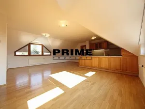 Pronájem rodinného domu, Praha - Nebušice, Malý dvůr, 340 m2