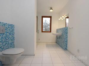 Pronájem bytu 2+1, Jílové u Prahy, Čihákova, 119 m2