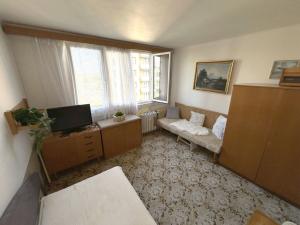 Prodej bytu 3+1, České Budějovice - České Budějovice 7, L. M. Pařízka, 64 m2