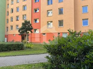 Pronájem bytu 2+kk, České Budějovice - České Budějovice 2, N. Frýda, 42 m2