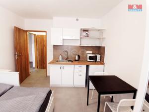 Pronájem bytu 1+kk, Humpolec, Masarykova, 20 m2