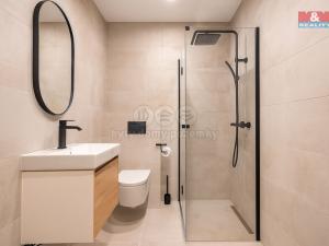 Prodej bytu 4+kk, Křinec, Chotucká, 94 m2