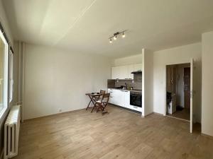 Pronájem bytu 1+kk, Brno, Švermova, 30 m2