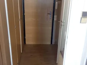 Pronájem bytu 1+kk, Ostrava, Závoří, 32 m2